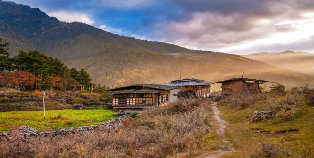 Gangtey trek, Bhutan